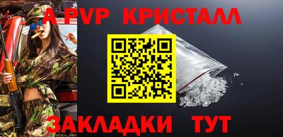 шишки Можга