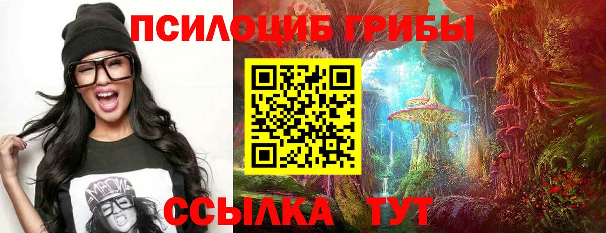 Псилоцибиновые грибы GOLDEN TEACHER Электросталь