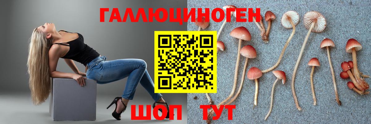 Электросталь  Галлюциногенные грибы Magic Shrooms  Вход с VPN 